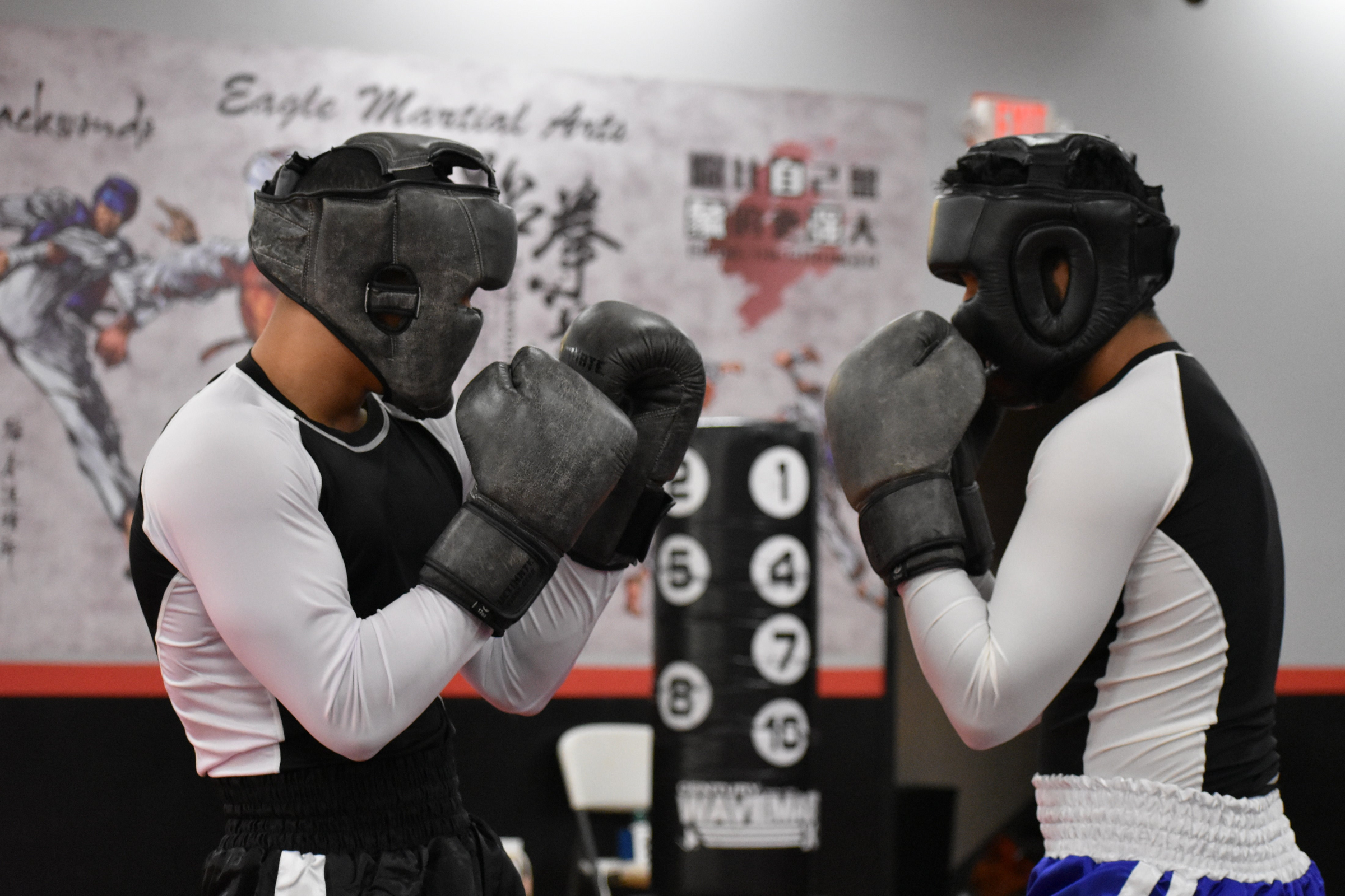 Performance fight gear shop
