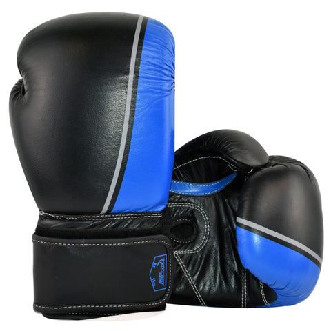 INS Boxing Gloves - PFGSports